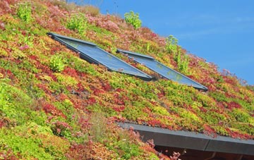 Blakelow living roof systems