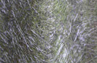 Blakelow fibreglass roof work